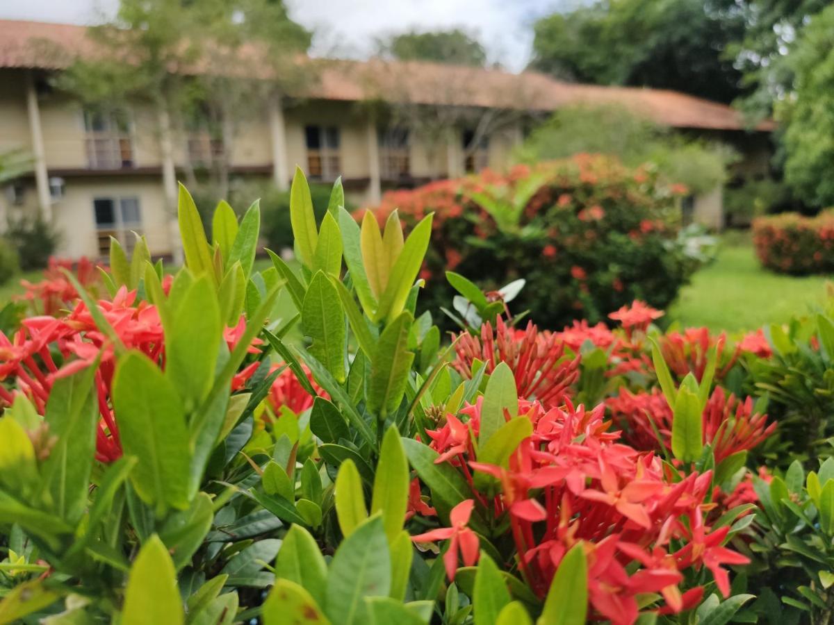 Beloalter Hotel Alter do Chão Ngoại thất bức ảnh